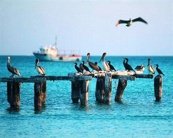 Отель Wayak Holbox Экстерьер фото